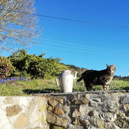 Le Du Bachat